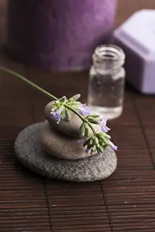 Hygienic Personal Care Prints: Lavender spa