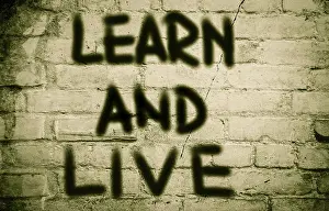 Educational System Image Prints: Learn And Live Concept