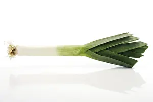 Indoor Plant Photography Prints: Leek