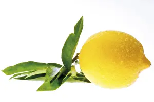 Lemon Nutrition Facts Prints: Lemon
