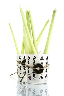 Nutrition Facts Prints: Lemon grass