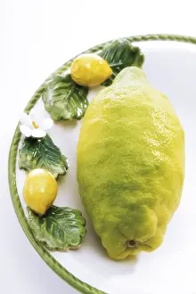 Empty Plate Dessert Prints: Lemon on a plate