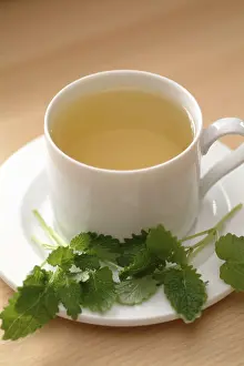 Kitchen Herb Spice Prints: Lemonbalmtea