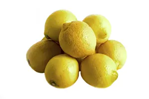 Yellow Citrus Fruit Prints: Lemons