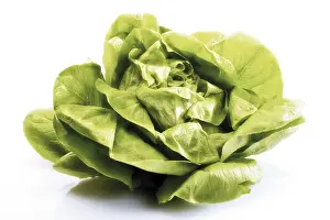 Leafy Vegetable Nutrition Prints: Lettuce
