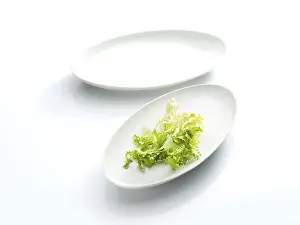 Nutrition Plate Prints: Lettuce leaf on a plate