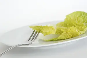 Studio Shot Fork Prints: Lettuce leaf on a plate