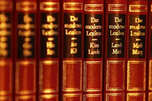 Empty Library Shelves Prints: Lexicon