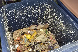 Waste Separation Prints: Own life in a compost bin