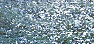 Light Reflection On Water Prints: Light reflections on the water surface