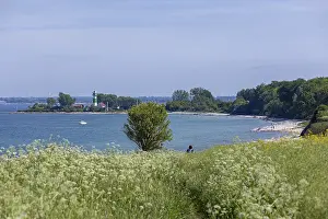 German Federal Republic Coastline Prints: Lighthouse, beach, tree, Bulk