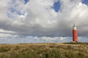De Cocksdorp Beach Scene Prints: Lighthouse Eierland with dunes