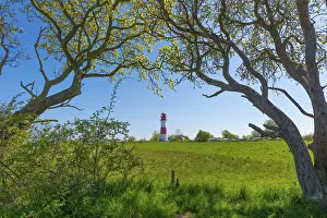 Central Europe Coastal Area Prints: Lighthouse Falshoeft, navigation