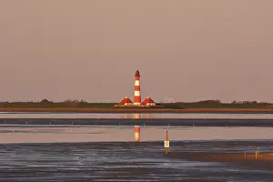 Westerheversand Lighthouse Prints: Lighthouse Westerheversand in evening light