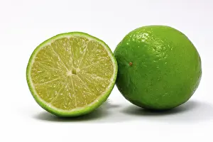 Close Up Citrus Fruit Prints: Limes