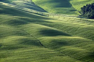 Hilly Countryside Scenery Prints: Lines and structures
