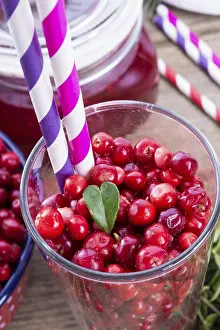 Scandinavian Nature Images Prints: Lingonberries
