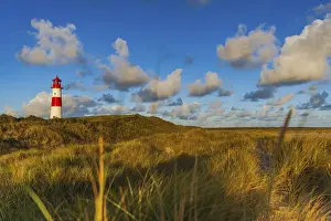 Schleswig Holstein Landscape Prints: The Lister lighthouse at Ellenbogen