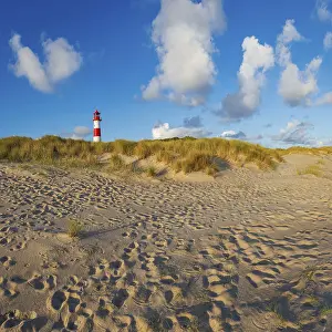European Coastal Tower Prints: The Lister lighthouse at Ellenbogen