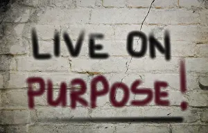Framed Print : Live On Purpose Print Framed Print : Live On Purpose Print