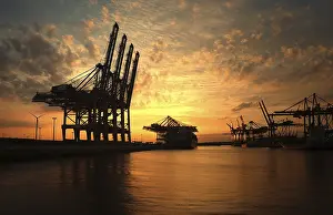 Container Terminal Hamburg Prints: Loading cranes at sunset in the Waltershofer Harbor