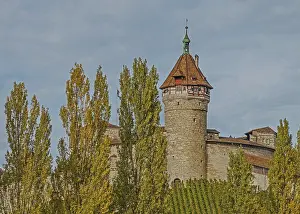 Vineyard Region Tourism Prints: Whether local or foreign