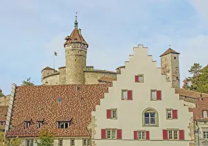European Fortification Structure Prints: Whether local or foreign
