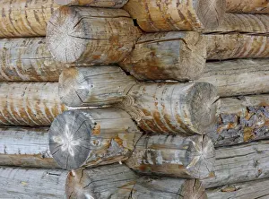 Log Cabin Detail Prints: Log cabin