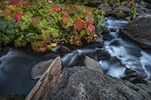 California Waterfalls Prints: Long-term image, McCloud River