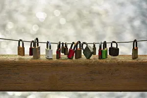 Love Locks Germany Prints: Love locks on the bridge railing