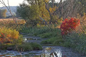 Lower Oder Valley National Park Prints: Lower Oder Valley National Park