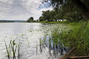 East Germany Landscapes Prints: Lower Oder Valley National Park