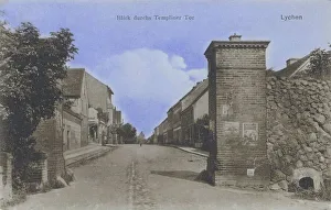 Lychen District Print, View through Templiner Tor