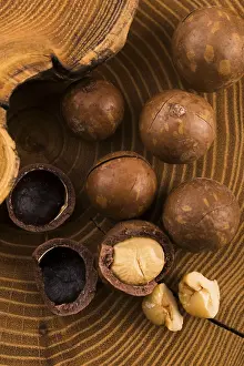 Edible Nuts Prints: Macadamia nuts