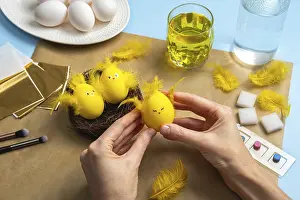 Easter Egg Chick Decoration Prints: How to make a chick from eggs for Easter decor
