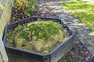 Waste Separation Techniques Prints: Making compost in composting bin in small garden