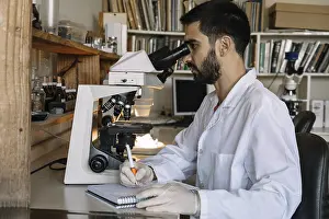 Biomedical Experimentation Prints: Male scientist looking under microscope