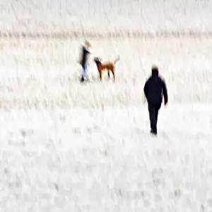 Travel Photography In Europe Prints: Man with child and dog on the beach