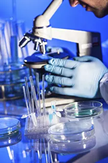 Biotechnology Experiment Prints: Man is looking into the ocular of microscope