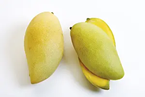 Studio Fruit Photography Prints: Mangoes