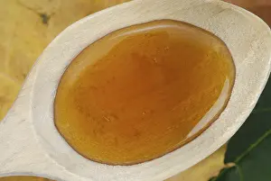 Healthy Baking Ingredients Prints: Maple syrup