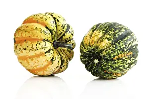 Vitamin Rich Vegetables Prints: Marrow