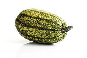 Cut Vegetable Photography Prints: Marrow, spaghetti squash