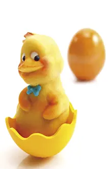 Still Life Studio Shot Prints: Marzipan chick in yellow plastic egg shell