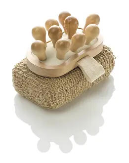 Prints of Massager on bath sponge Sponge Prints: Massager on Bath Sponge Print