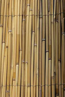 No People Abstract Art Prints: Mat as straw as abstract texture pattern