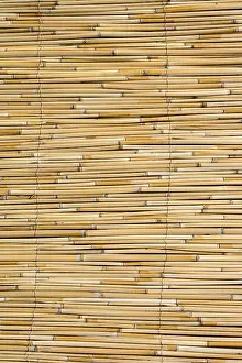 Abstract Straw Texture Prints: Mat as straw as abstract texture pattern