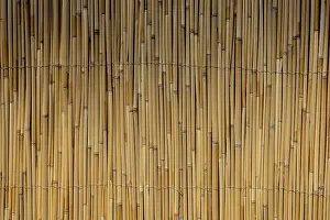 Empty Uninhabited Space Prints: Mat as straw as abstract texture pattern