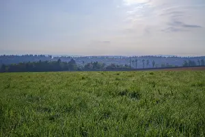 Hesse Landscape Photography Prints: Meadow, Dewdrops, Forest, Clouds