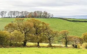 English Countryside Prints: Meadows and Fields over Devon in the colors of fall